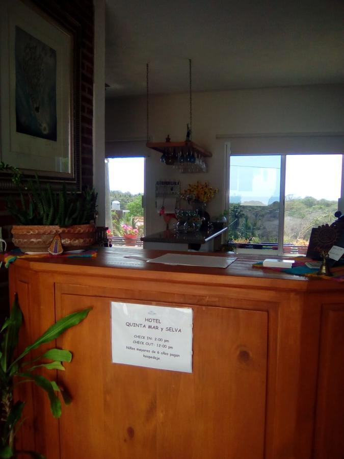 Hotel Quinta Mar Y Selva Chacala  Luaran gambar